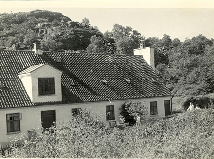 Fyrvej 5 (med kvist), 7 og 9 med Høje Meder i baggrunden. 
Ca. 1952
(Foto:Ancher Enevoldsen)